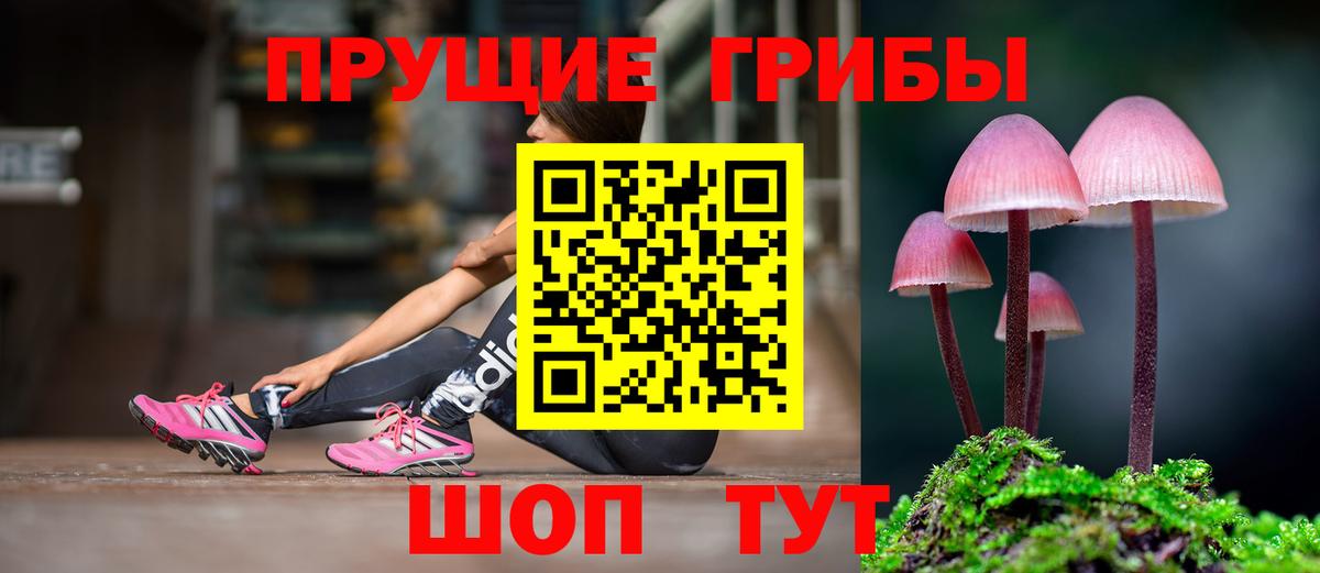 Галлюциногенные грибы MAGIC MUSHROOMS Кострома